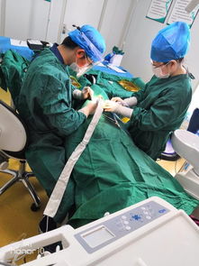 十年磨一劍 呼市至美口腔獲國內(nèi)外專家認可，引領(lǐng)口腔診療服務新標準